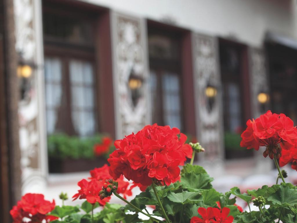 Hotel Felsenkeller Rüdesheim am Rhein Dış mekan fotoğraf