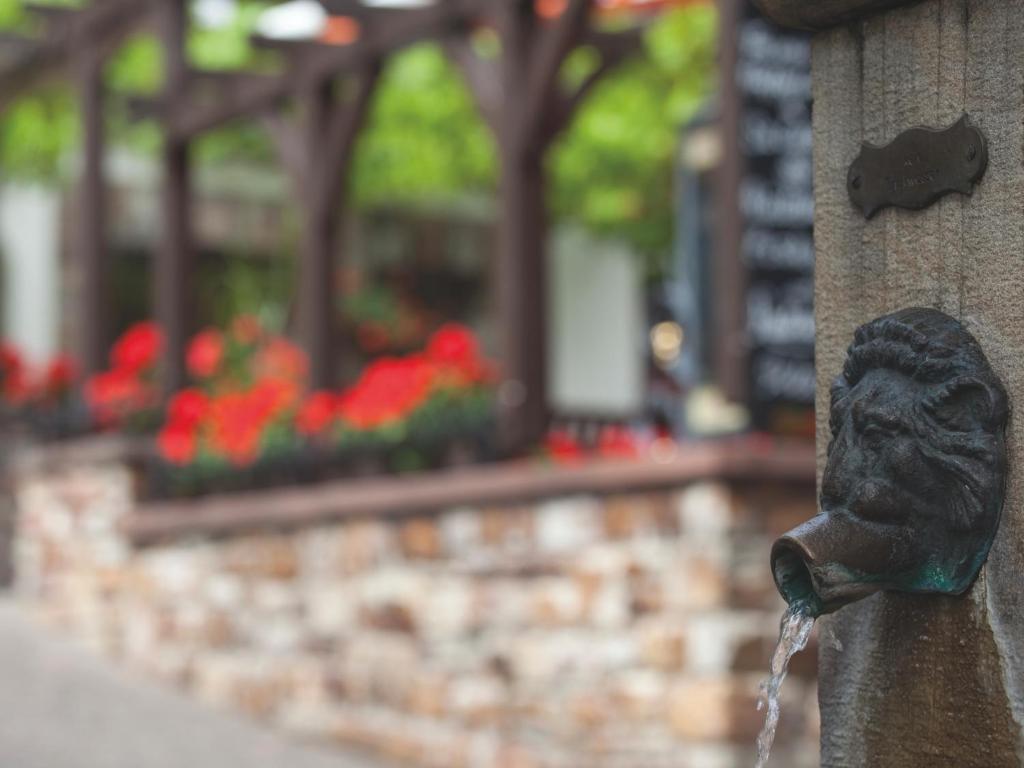 Hotel Felsenkeller Rüdesheim am Rhein Dış mekan fotoğraf