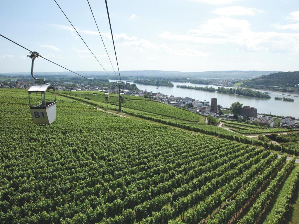 Hotel Felsenkeller Rüdesheim am Rhein Dış mekan fotoğraf
